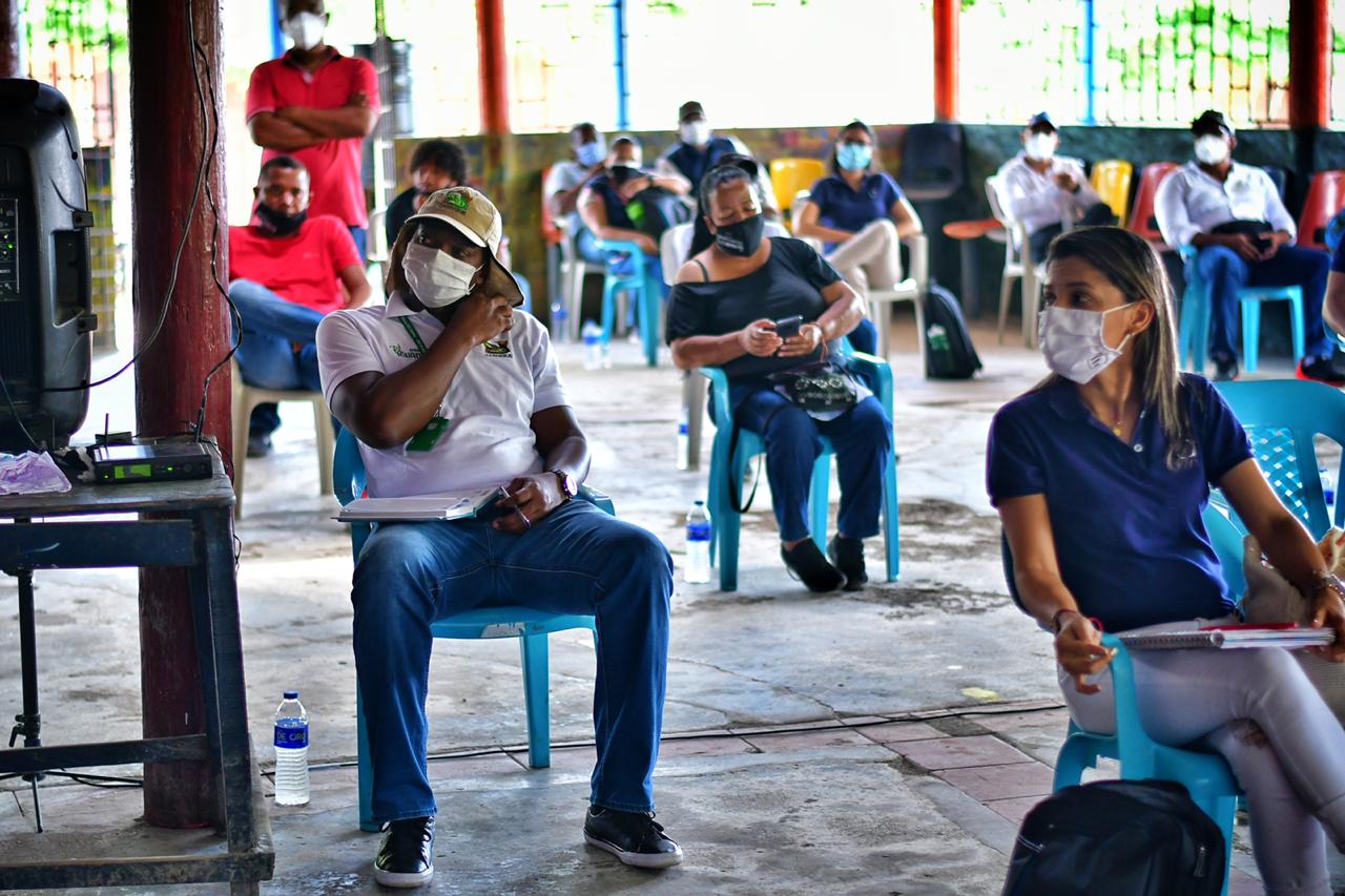Consulta Previa